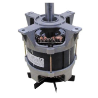 Automatik Entsafter J100 Robot Coupe