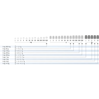 M1 1 mg -  100 g Gewichtsatz im Kunststoff-Etui,...
