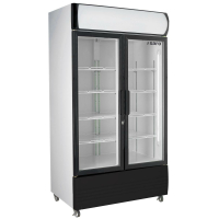 SARO Kühlschrank mit 2 Glastüren und...