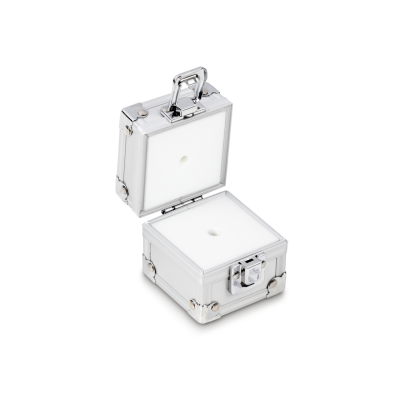 Aluminiumgesch&uuml;tztes Etui 317-030-600