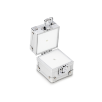 Aluminiumgeschütztes Etui 317-030-600