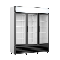 SARO Kühlschrank, Glastüren + Werbetafel, GTK 1065