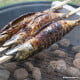 20 Grill-Spie&szlig;e &quot;pure&quot; 80 cm x 8 mm x 8 mm &quot;Steckerlfisch&quot;