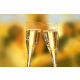 50 Stiel-Gl&auml;ser (Oberteile) f&uuml;r Sekt, PS 0,1 l &Oslash; 5 cm x 17,5 cm glasklar