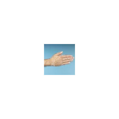 500 &quot;WORK-INN/-PS&quot; Handschuhe, PE transparent f&uuml;r Damen, M