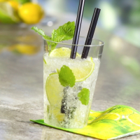 30 Mehrweg-Gl&auml;ser f&uuml;r Caipirinha PP 0,3 l &Oslash; 8 cm x 11 cm transluzent unzerbrechlich