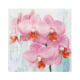 20 Servietten, 3-lagig 1/4-Falz 33 cm x 33 cm &quot;Phalaenopsis&quot;