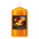 "Flavour by GALA" Duft-Stumpenkerze &Oslash; 58 mm x 110 mm pfirsich - Mango-Papaya