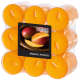 18 "Flavour by GALA" Duftlichte &Oslash; 38 mm x 24 mm pfirsich - Mango-Papaya in Polycarbonath&uuml;lle