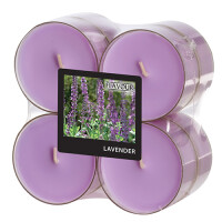 8 "Flavour by GALA" Maxi Duftlichte &Oslash; 59...