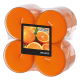 8 "Flavour by GALA" Maxi Duftlichte &Oslash; 59 mm x 24 mm orange - Orange in Polycarbonath&uuml;lle