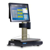 CAS EVO TouchScale 20I Linux mit Bondrucker 6/15 kg 9 Zoll