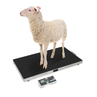 Plattformwaage KERN EOS 150K-2