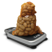 Pr&auml;zisionswaage